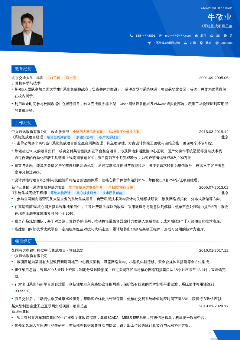 IT系统集成项目总监简历模板