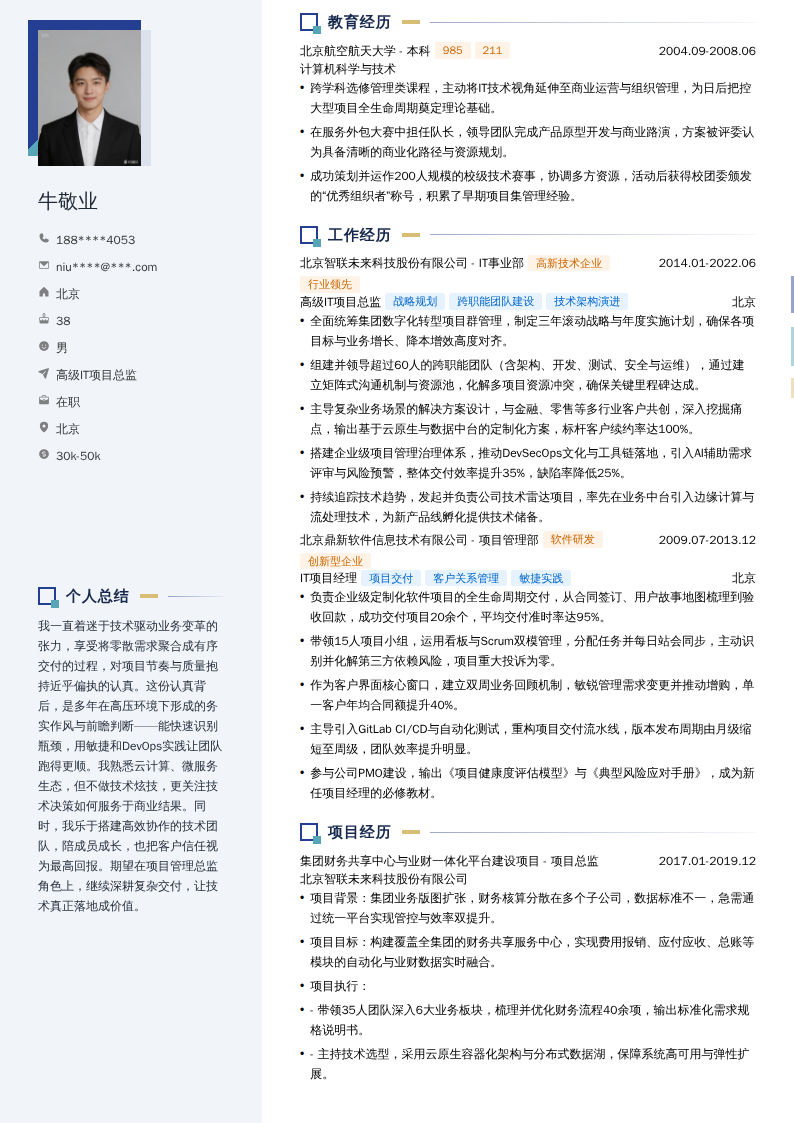 高级IT项目总监简历模板