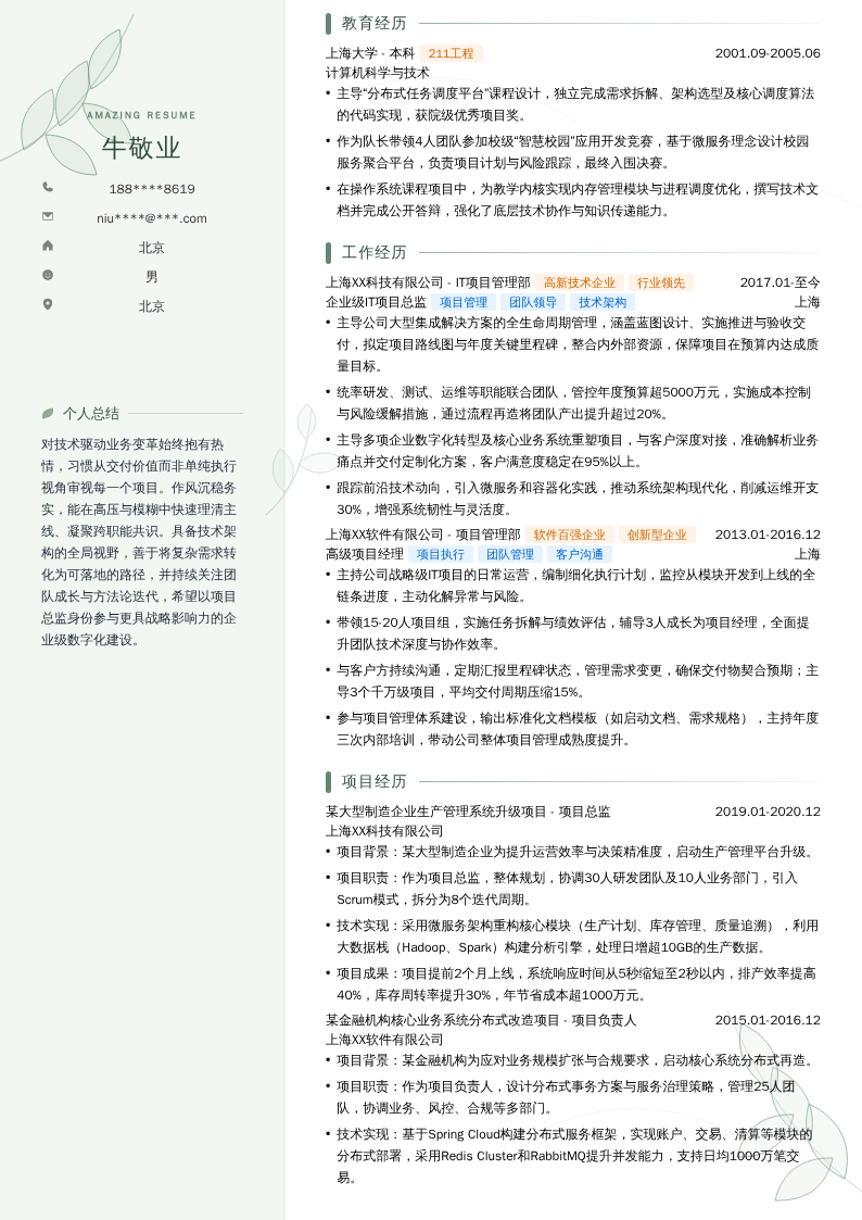 企业级IT项目总监简历模板