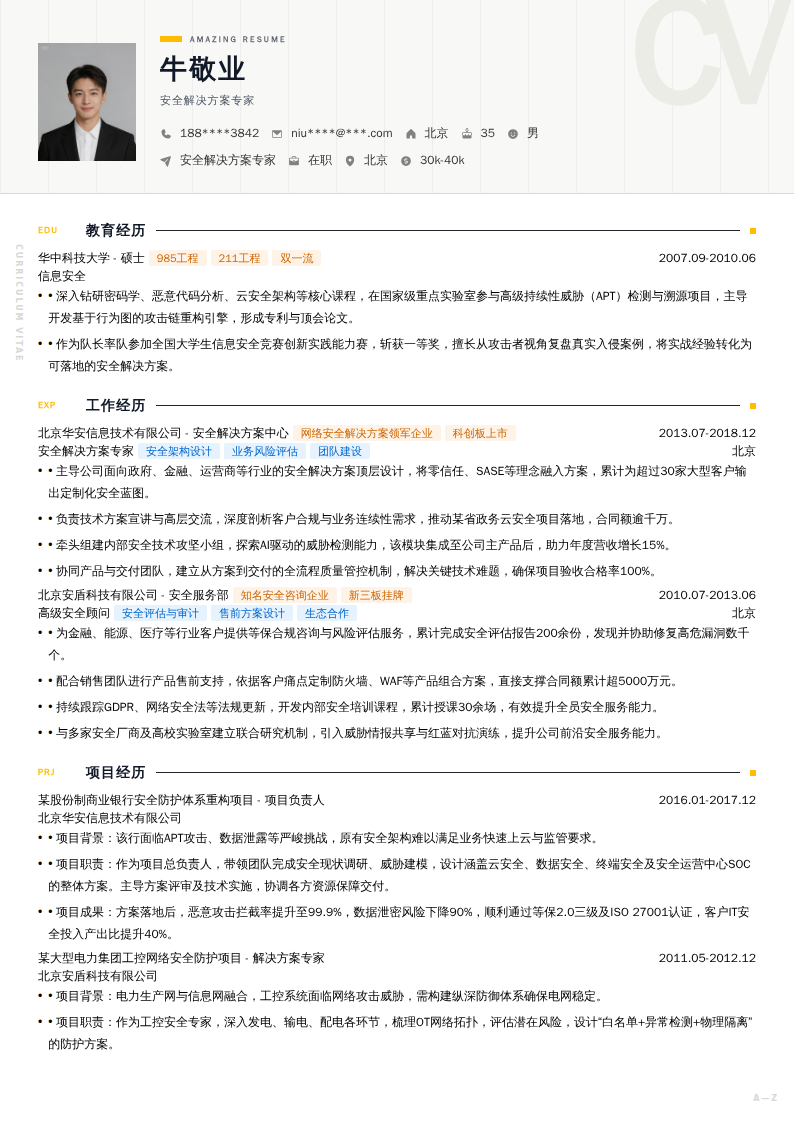 安全解决方案专家简历模板