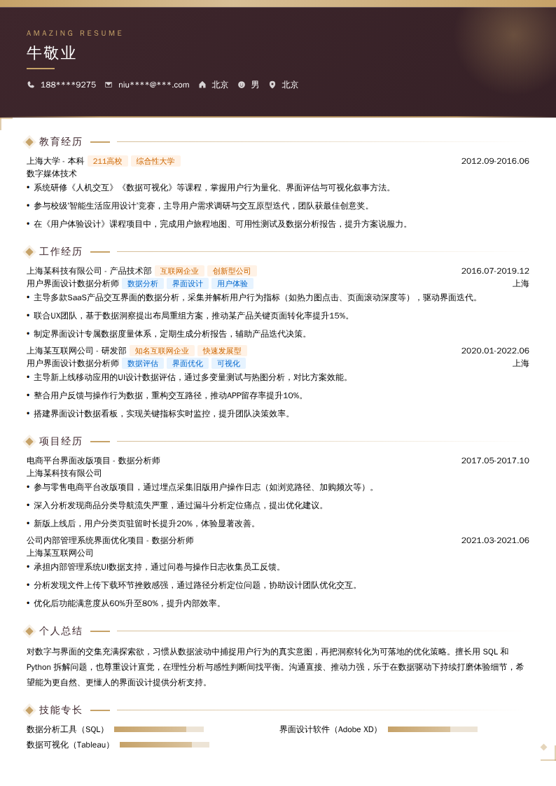 用户界面设计数据分析师简历模板