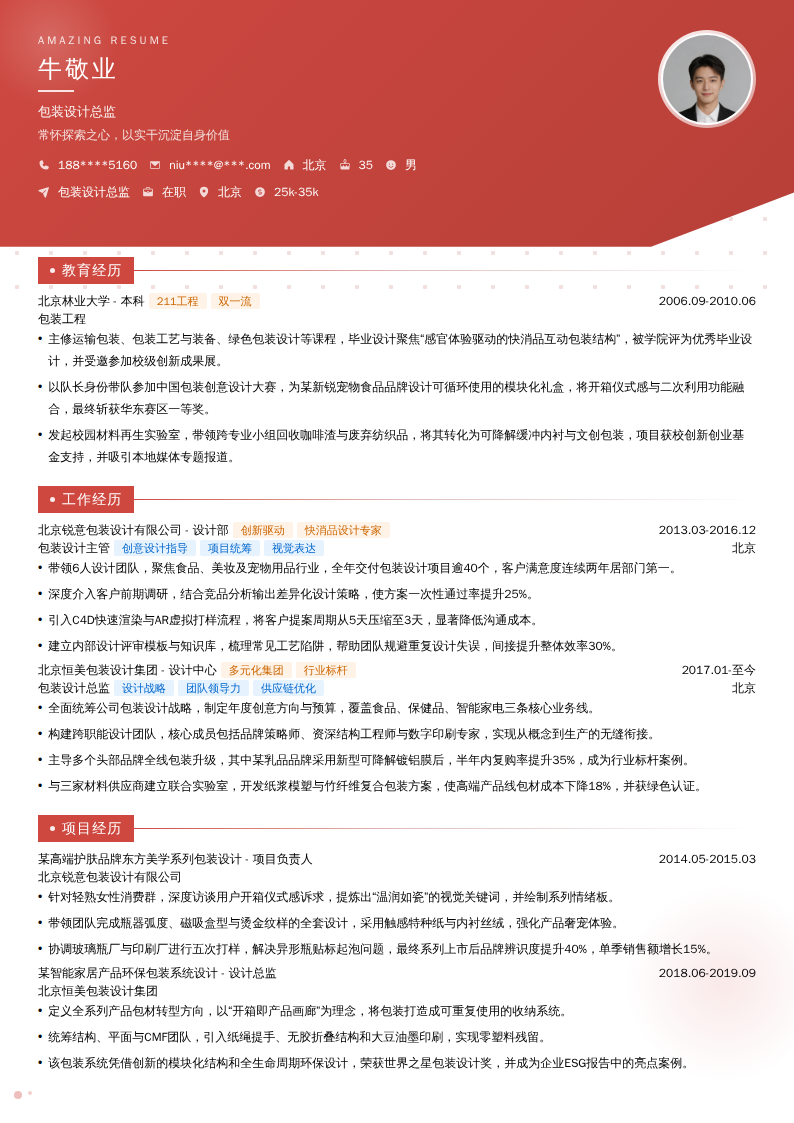 包装设计总监简历模板