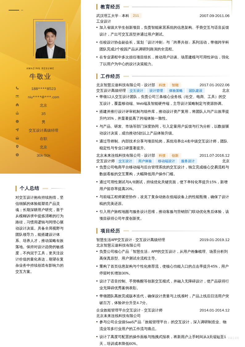 交互设计高级经理简历模板
