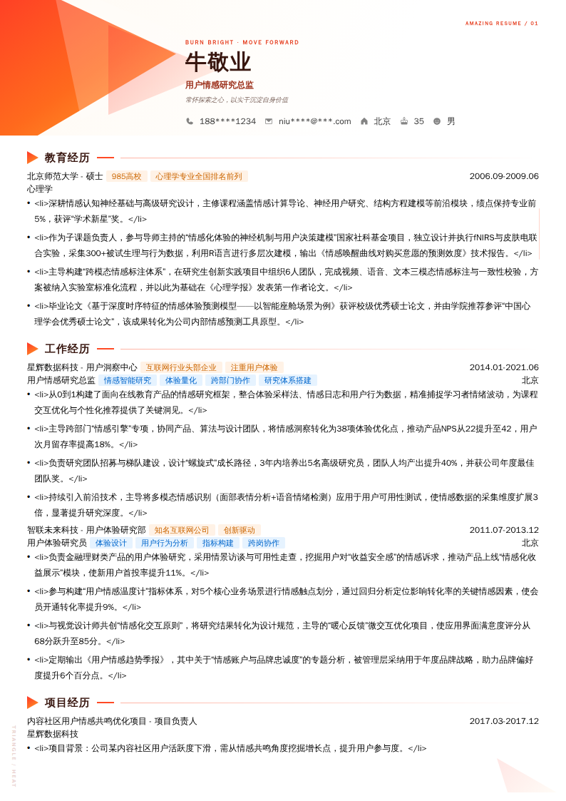 用户情感研究总监简历模板