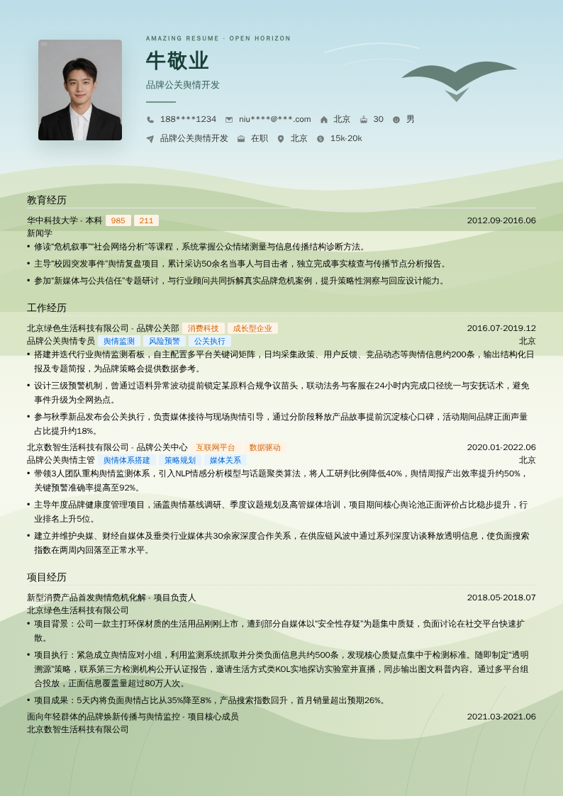 品牌公关舆情开发简历模板