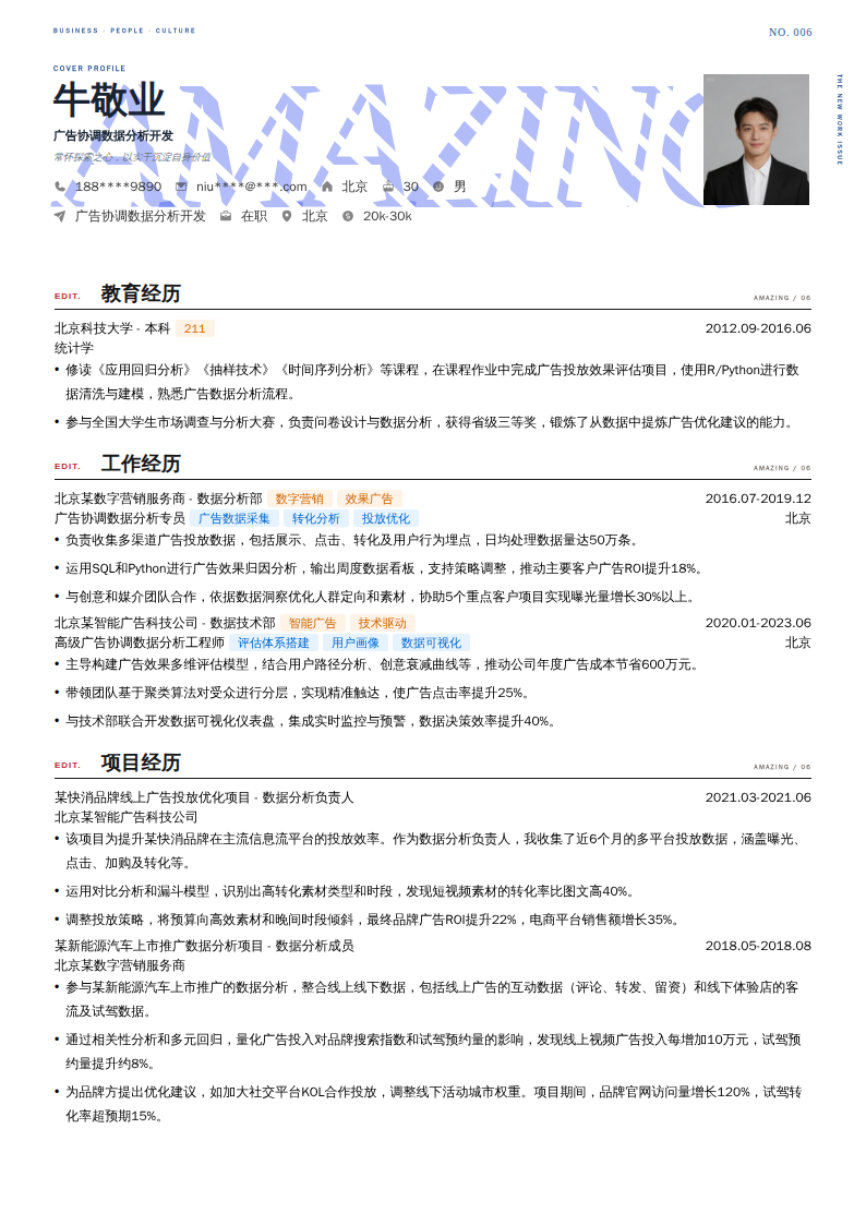 广告协调数据分析开发简历模板
