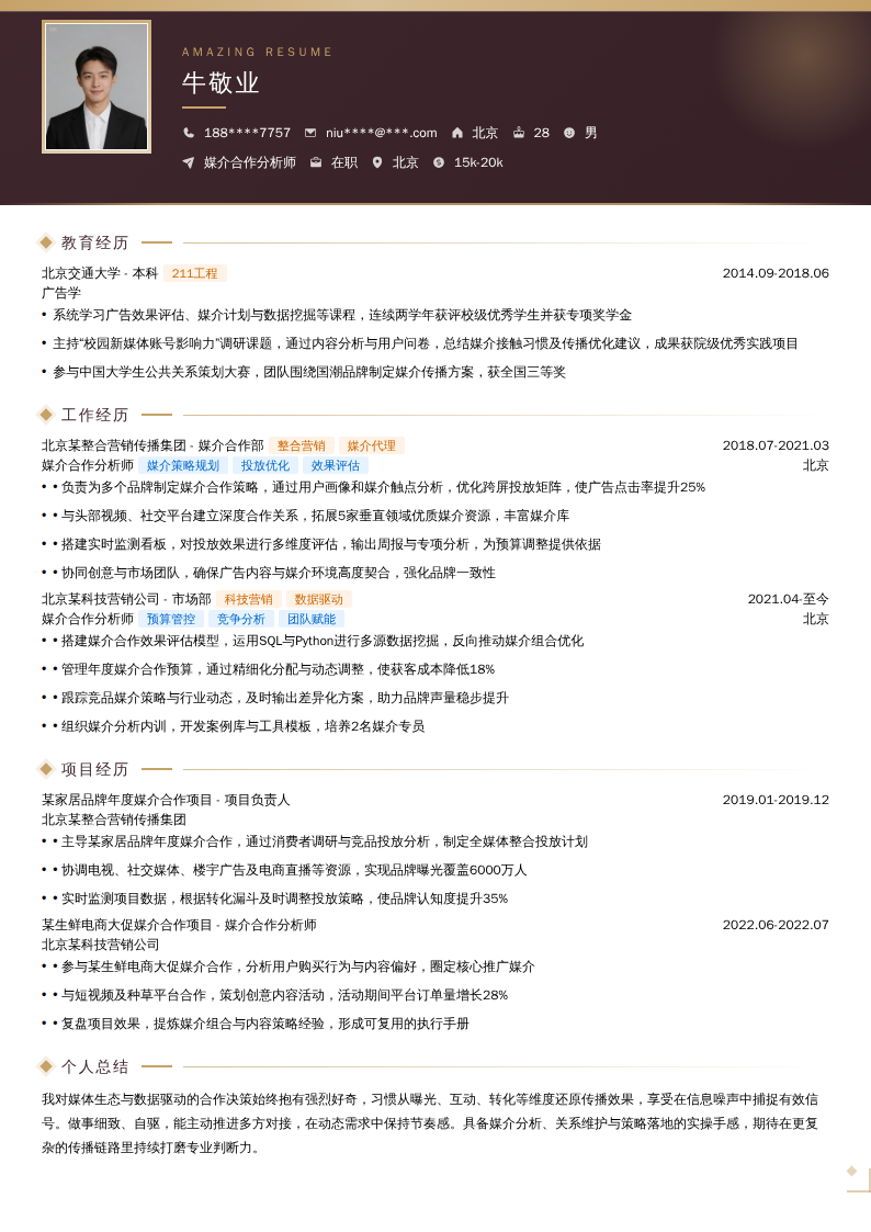 媒介合作分析师简历模板
