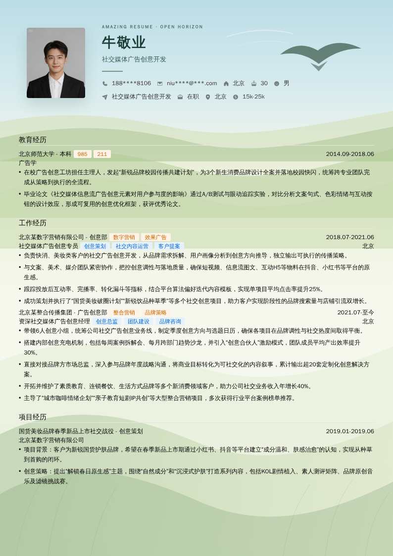 社交媒体广告创意开发简历模板