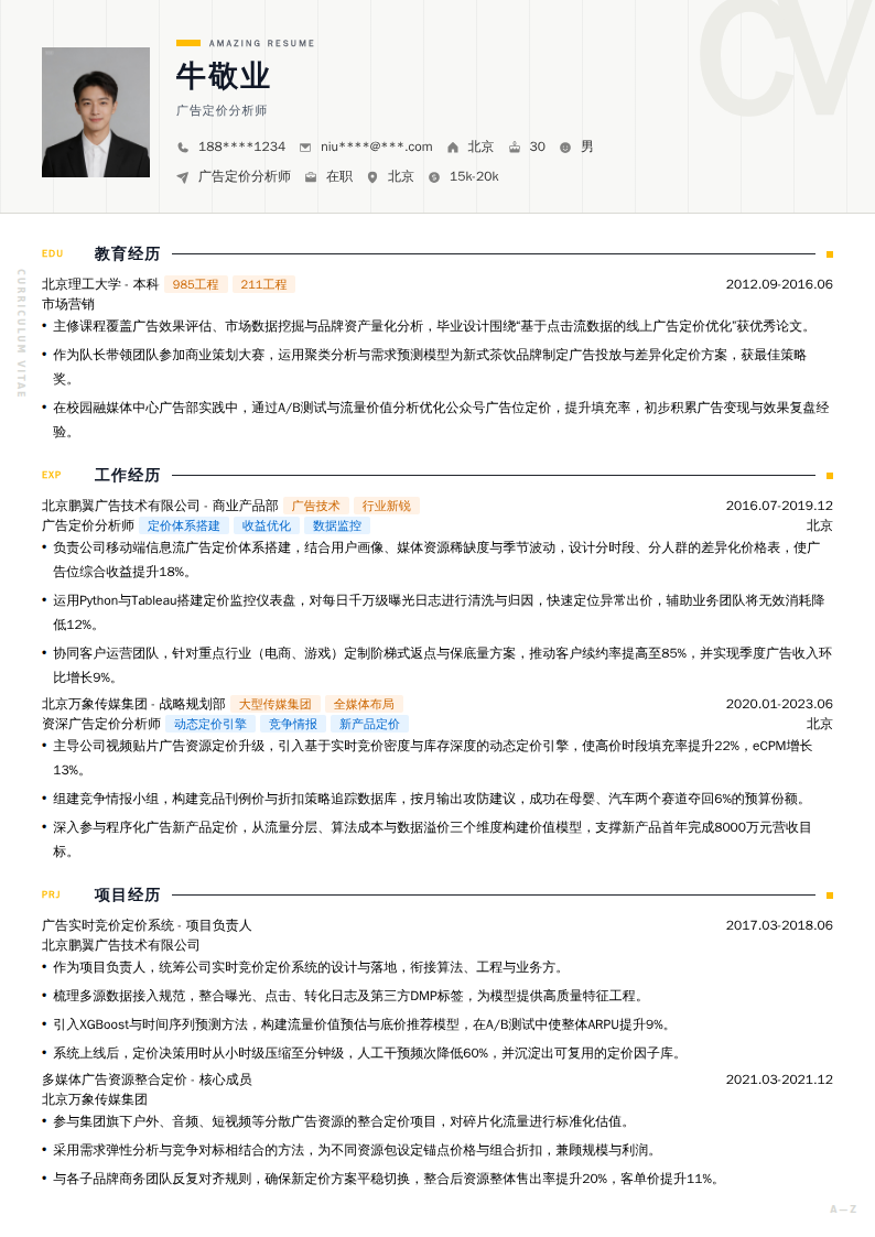 广告定价分析师简历模板