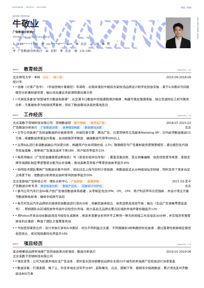 广告数据分析执行简历模板