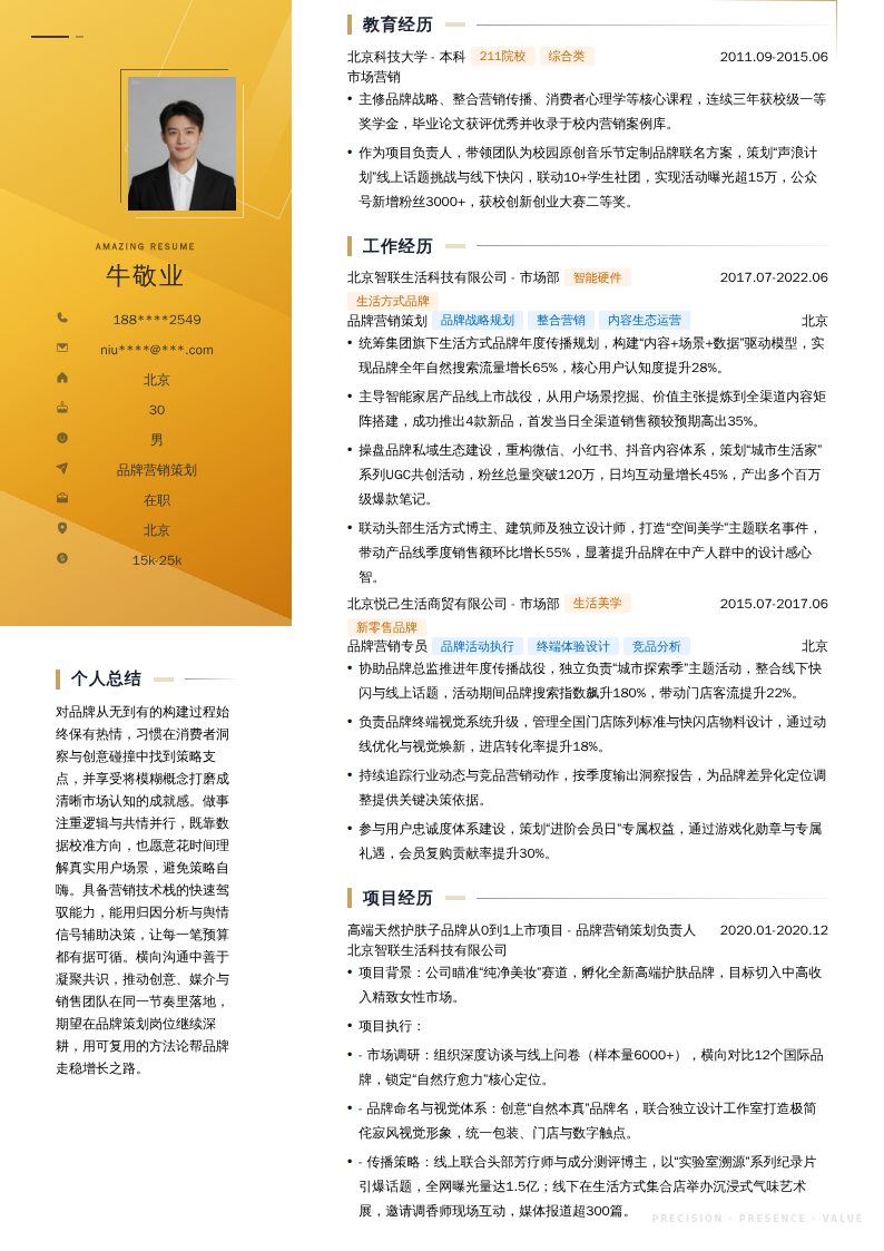 品牌营销策划简历模板