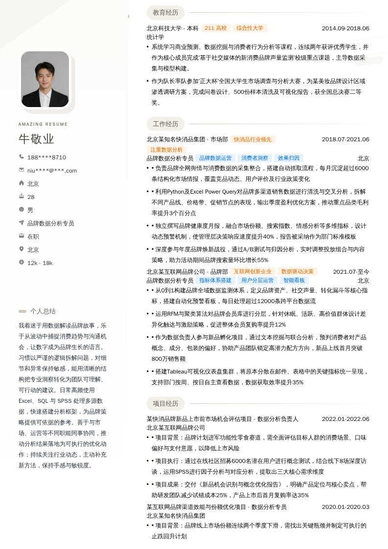 品牌数据分析专员简历模板