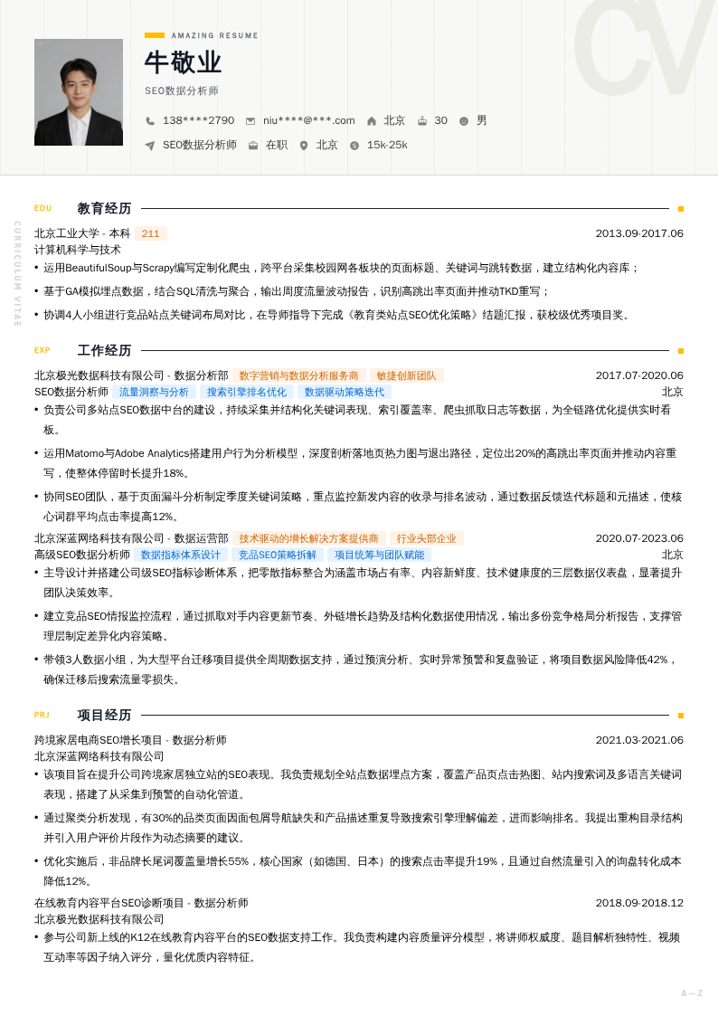 SEO数据分析师简历模板