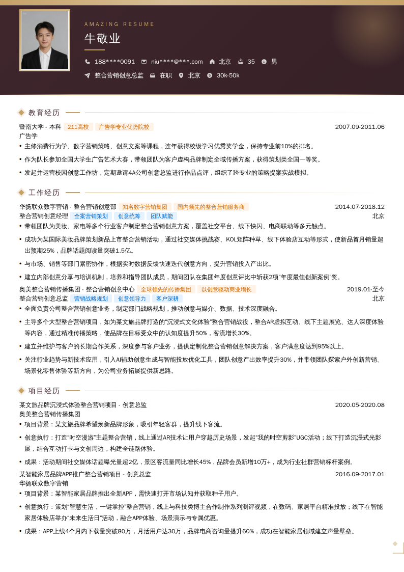 整合营销创意总监简历模板