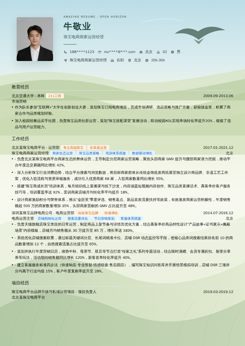 珠宝电商商家运营经理简历模板