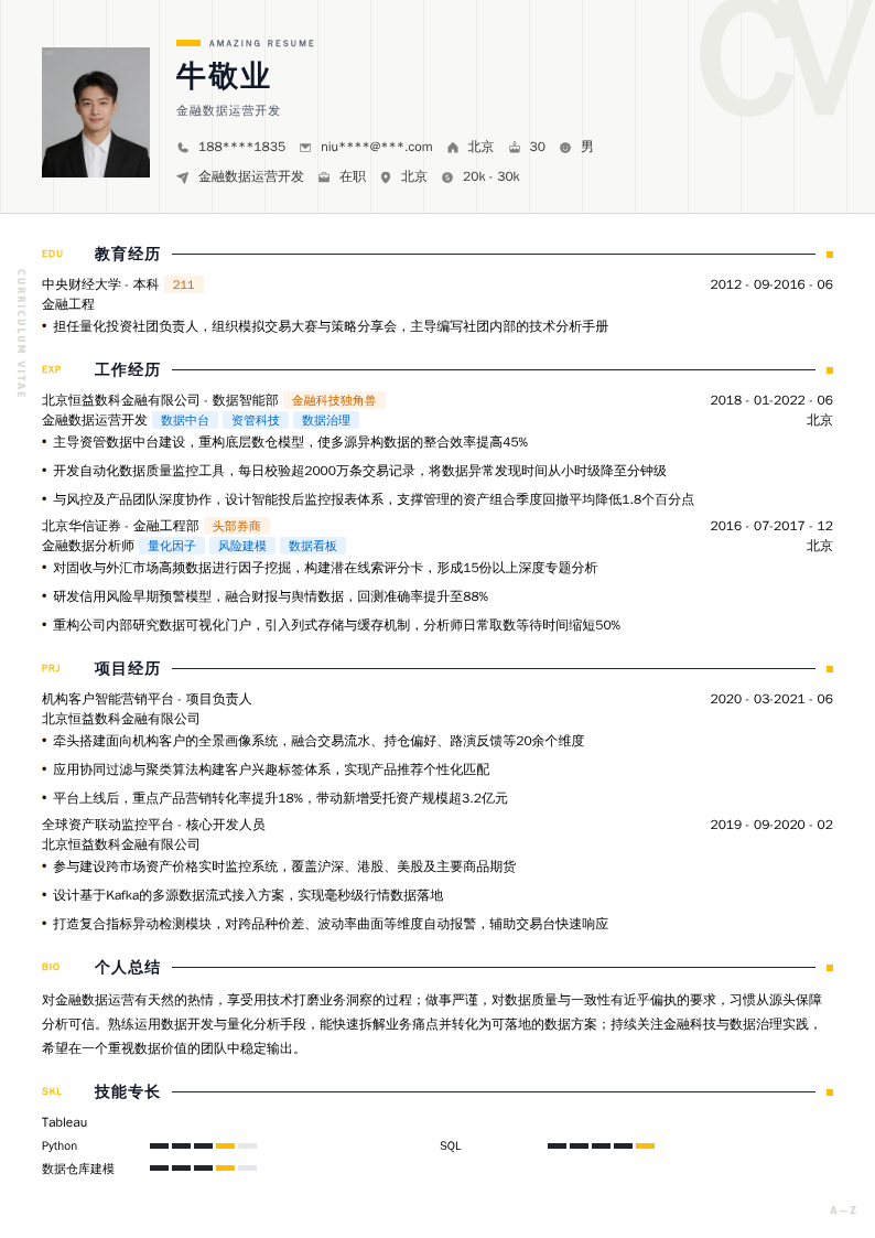 金融数据运营开发简历模板