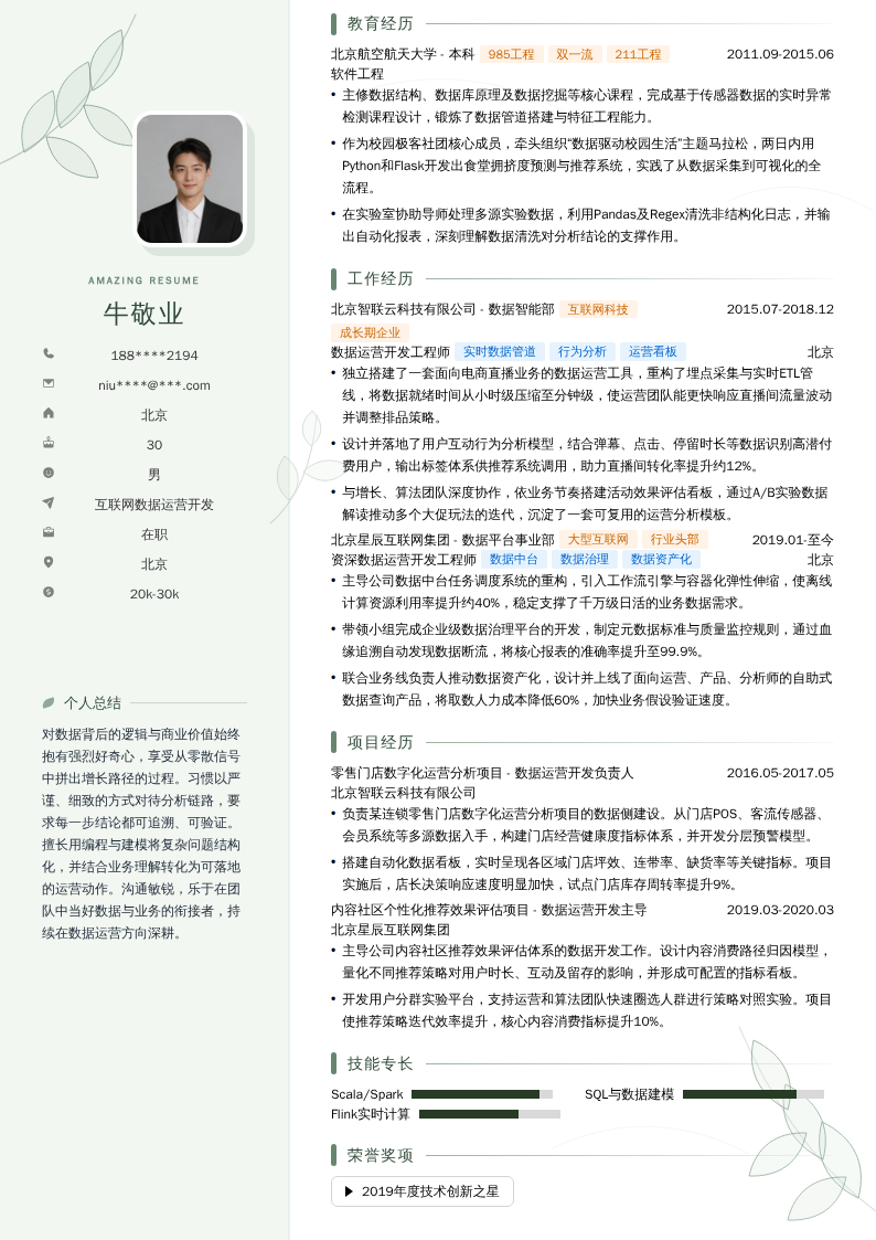 互联网数据运营开发简历模板