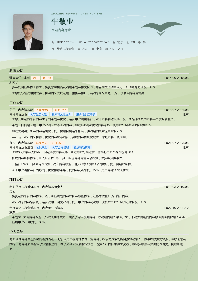 网站内容运营简历模板