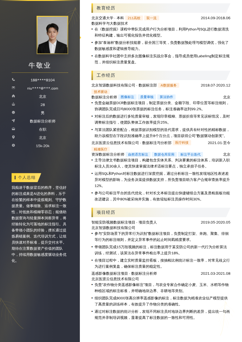 数据标注分析师简历模板