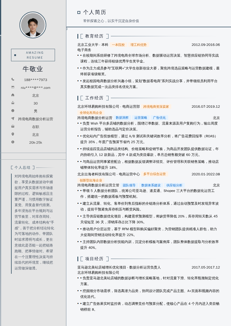 跨境电商数据分析运营简历模板