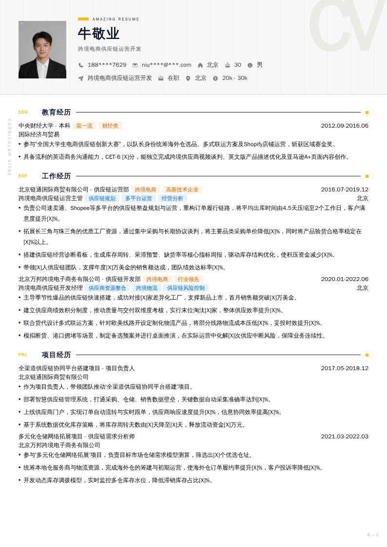跨境电商供应链运营开发简历模板