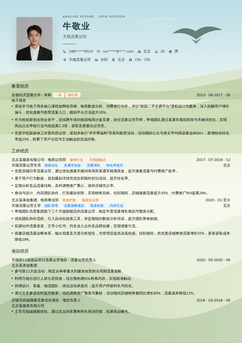 天猫流量运营简历模板