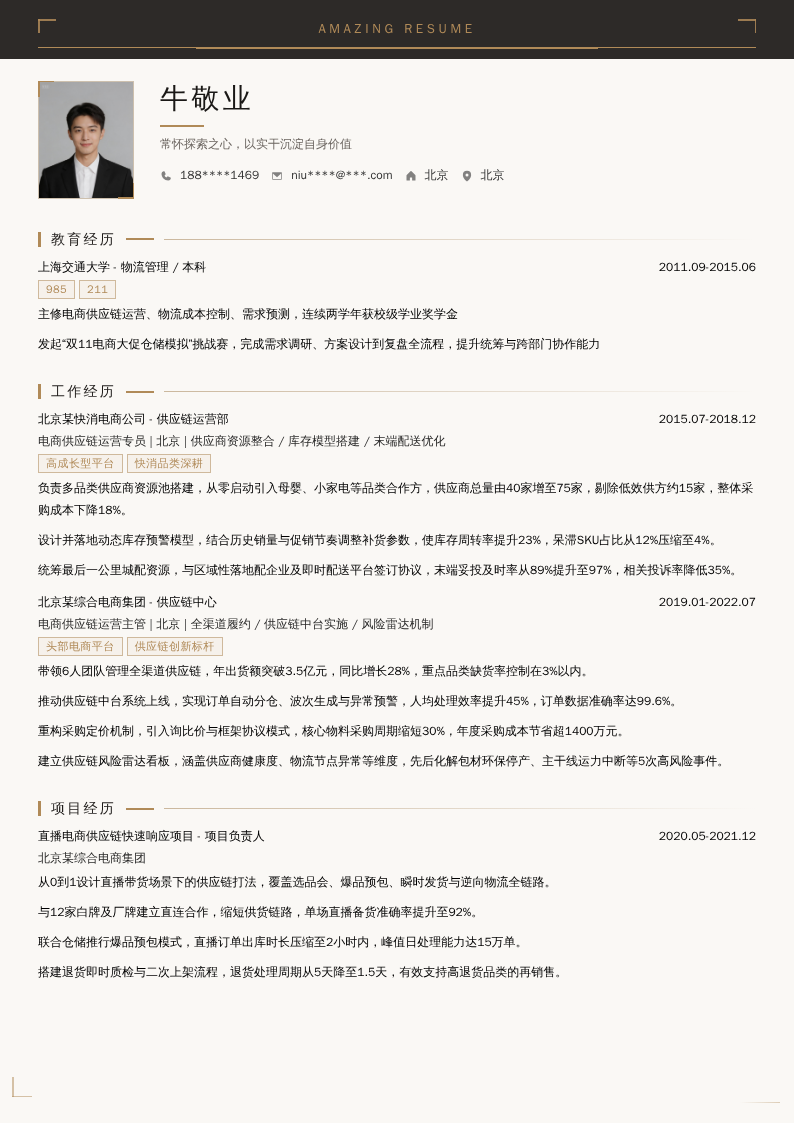 电商供应链运营开发简历模板