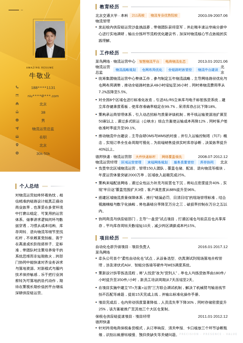 物流运营总监简历模板