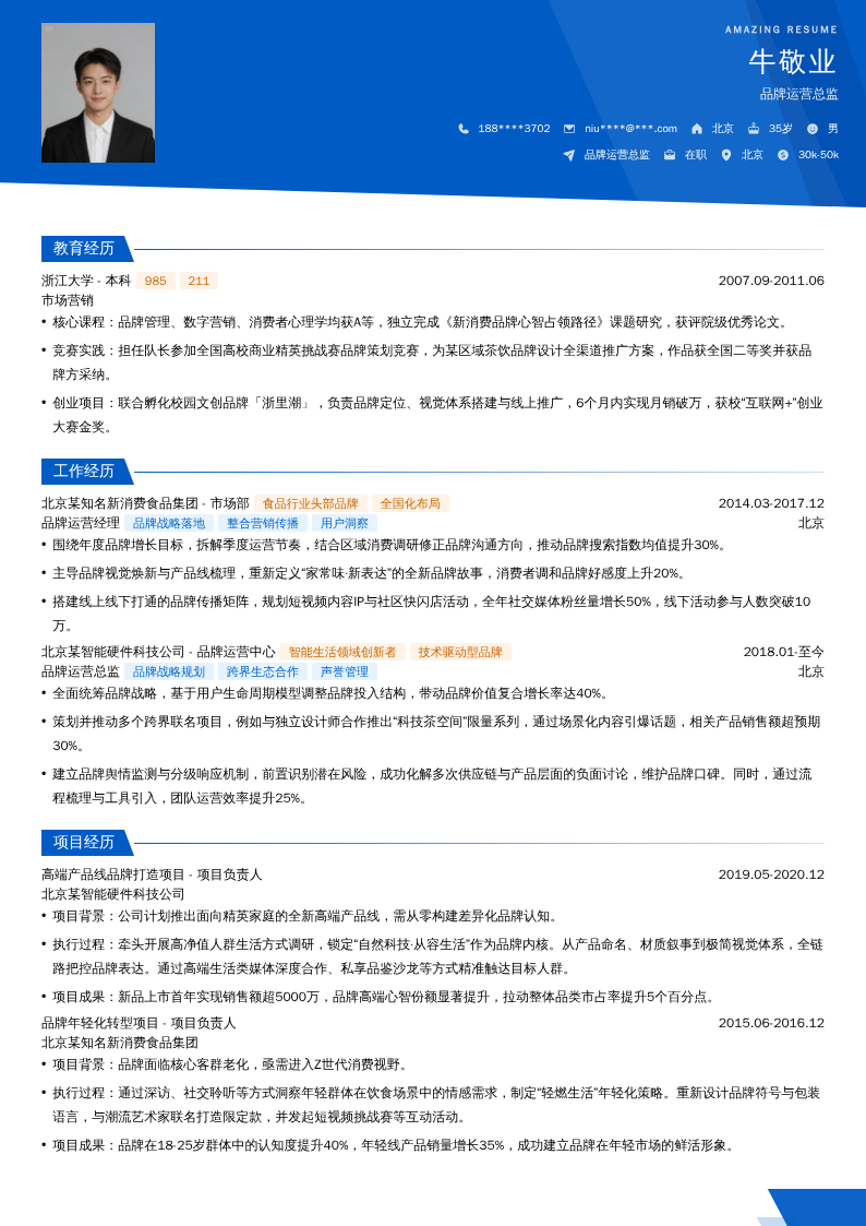 品牌运营总监简历模板
