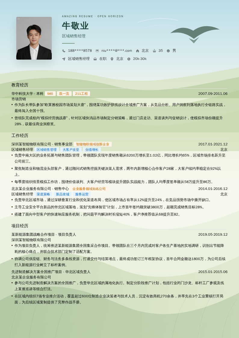 区域销售经理简历模板