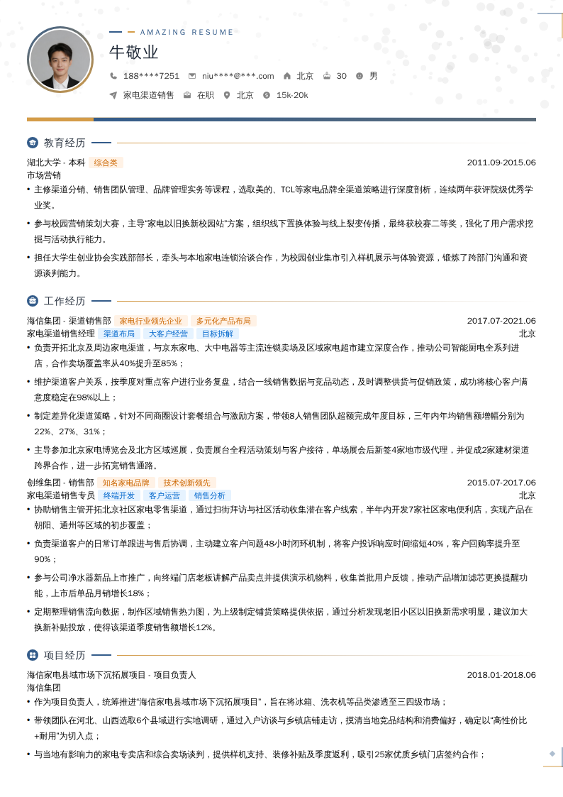 家电渠道销售简历模板