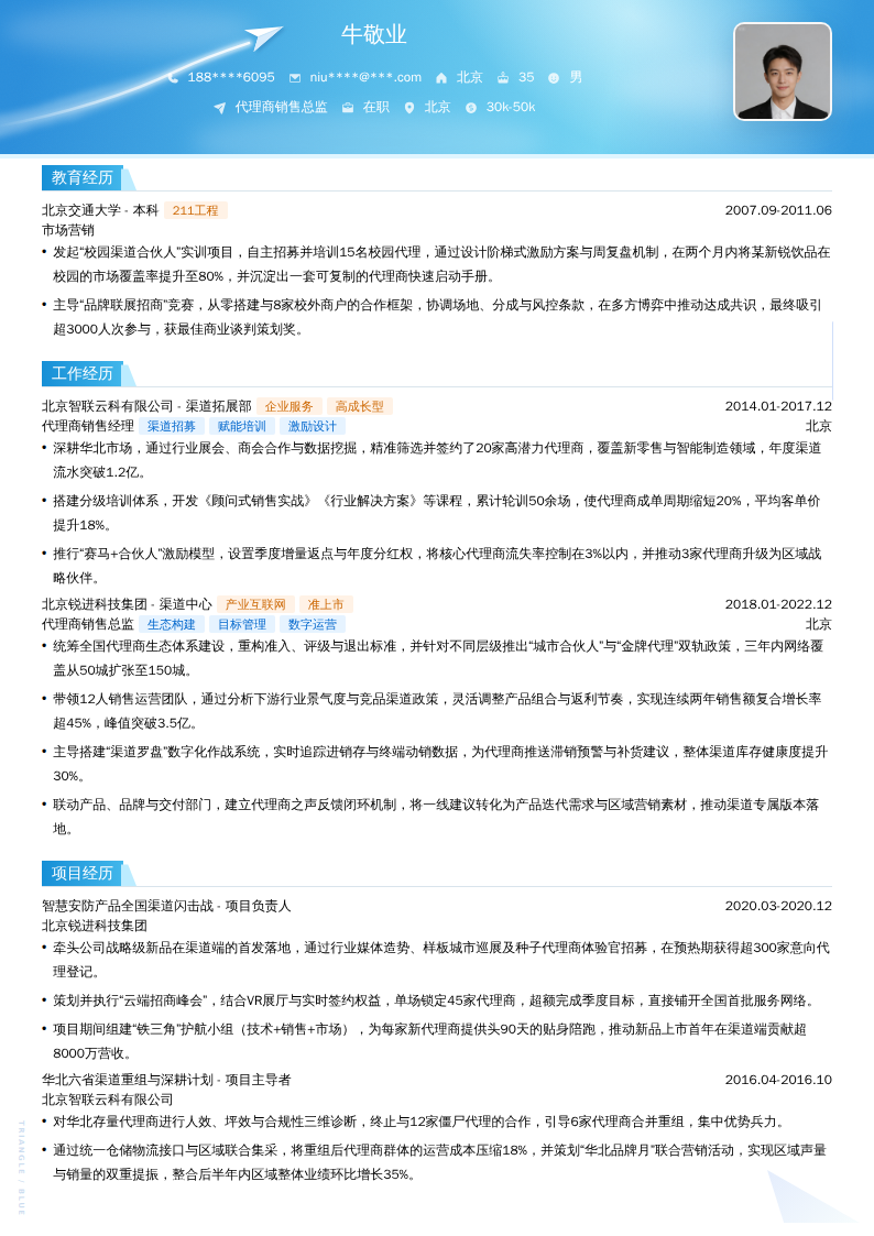 代理商销售总监简历模板