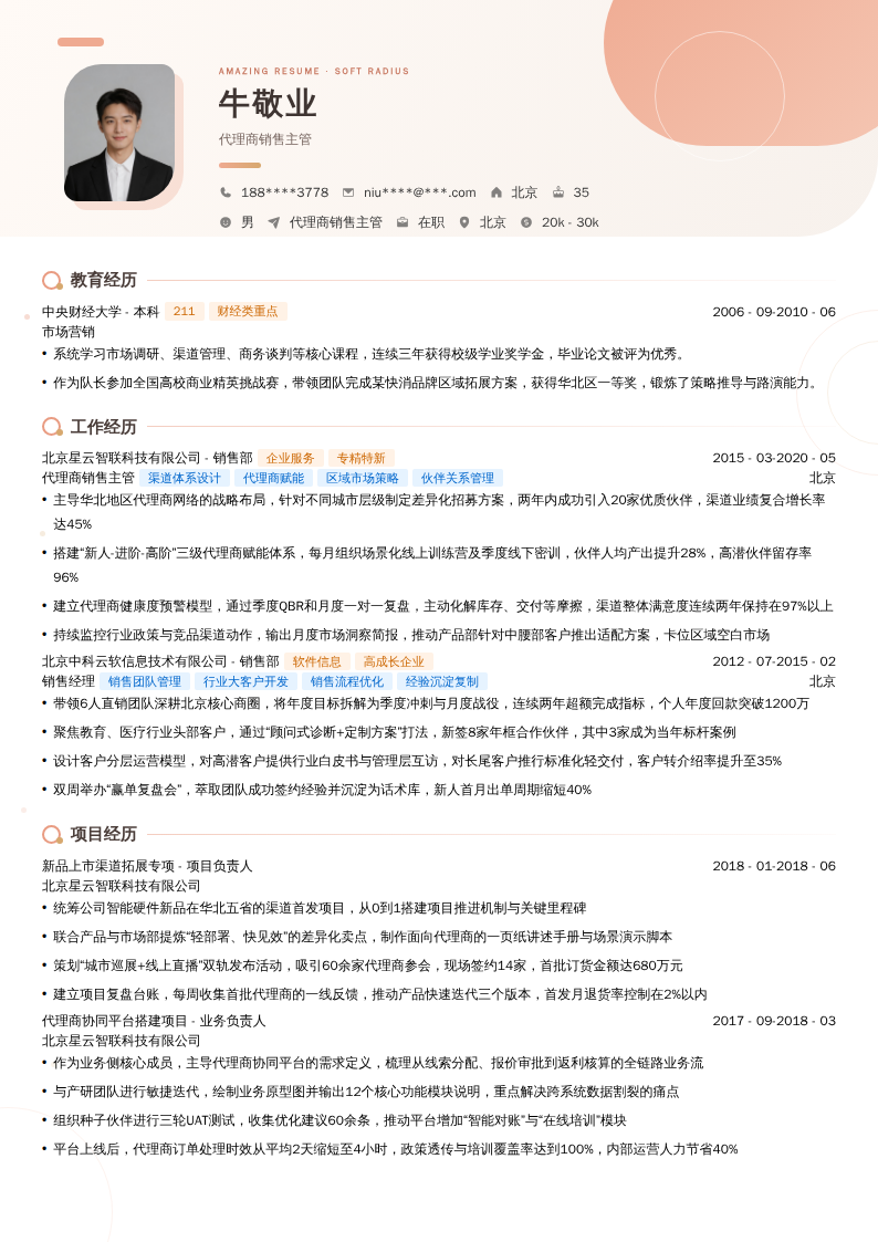 代理商销售主管简历模板