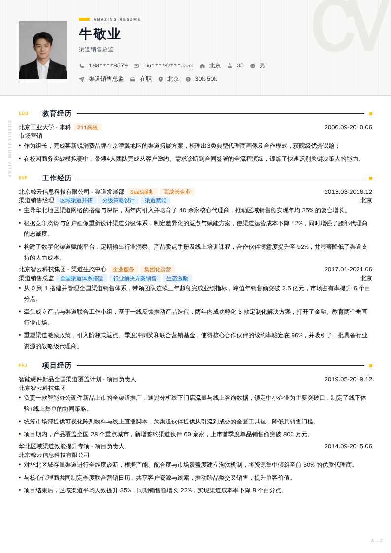 渠道销售总监简历模板
