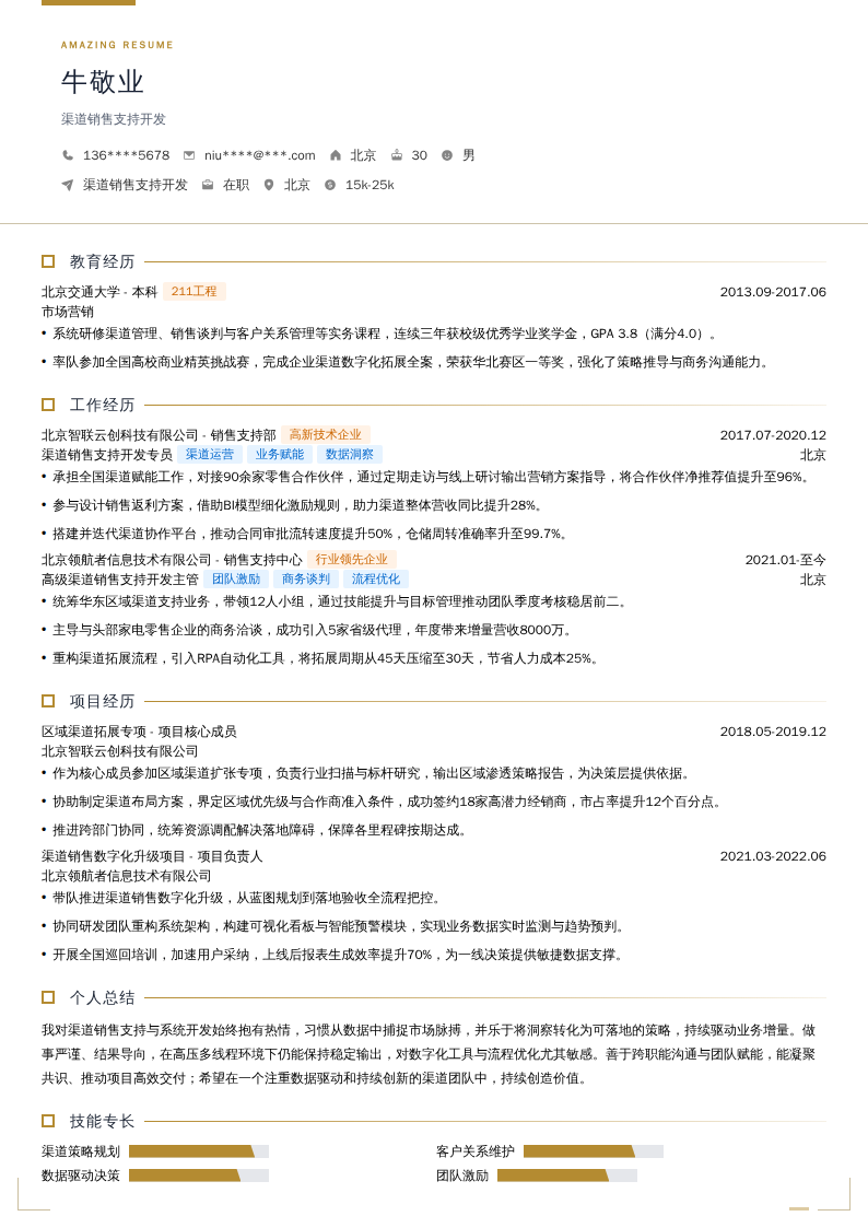 渠道销售支持开发简历模板