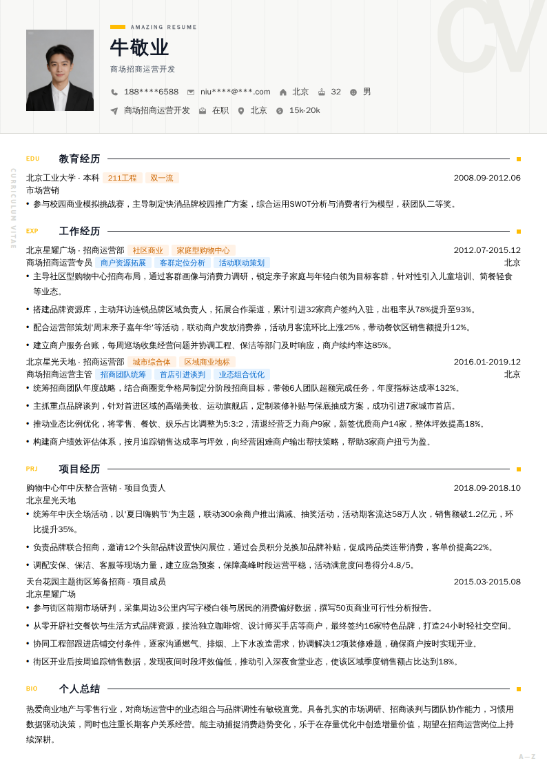 商场招商运营开发简历模板