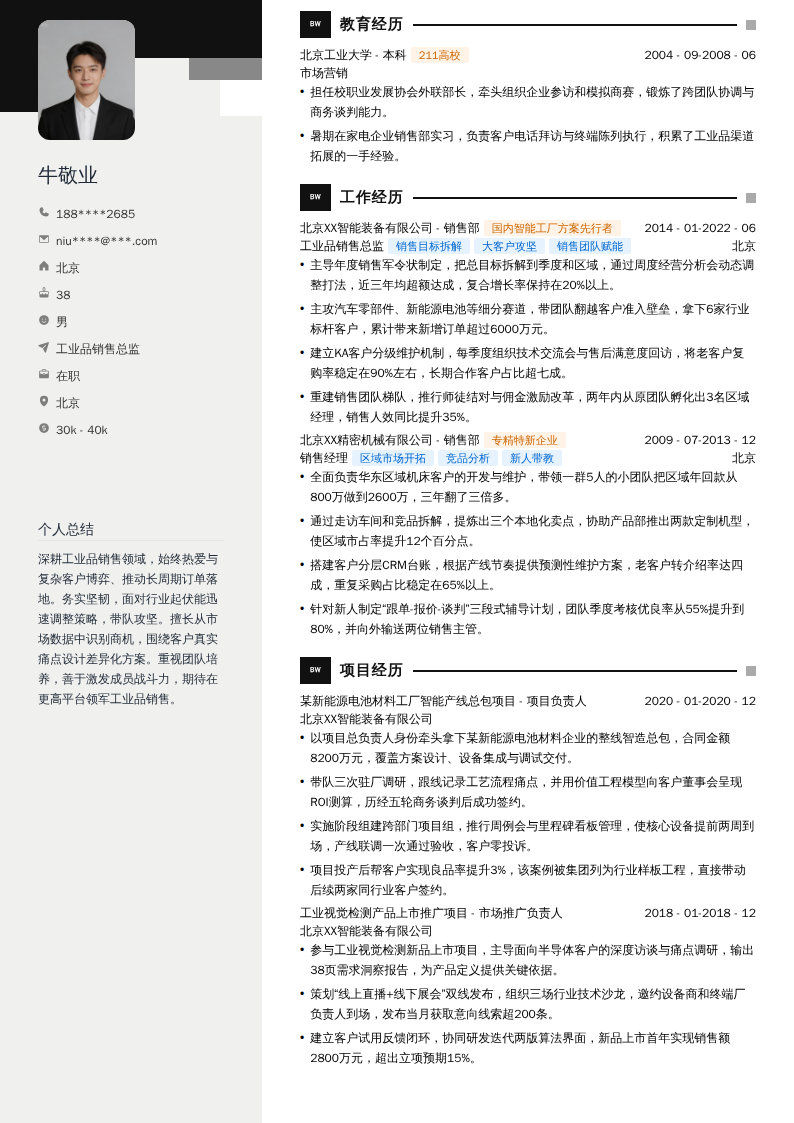 工业品销售总监简历模板