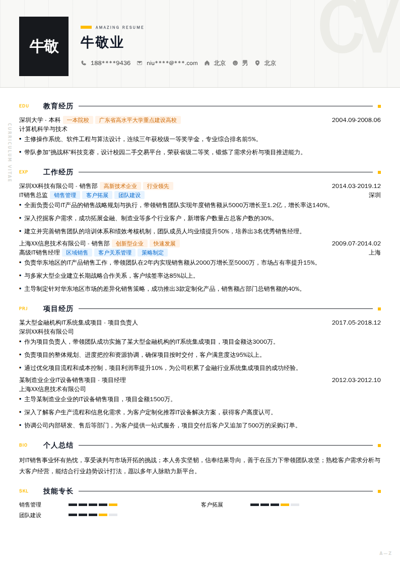 IT销售总监简历模板