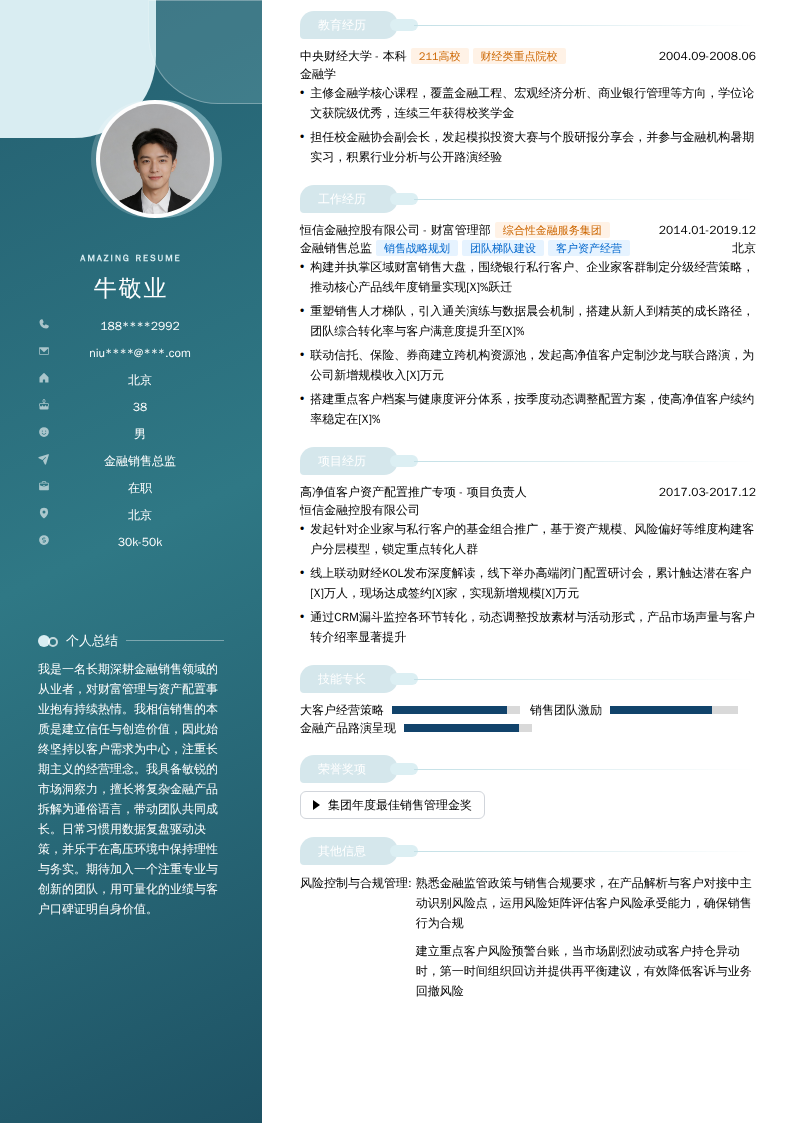金融销售总监简历模板