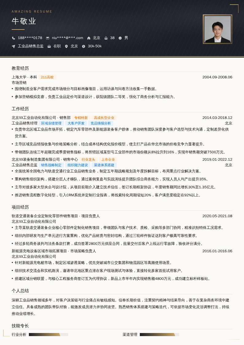 工业品销售总监简历模板