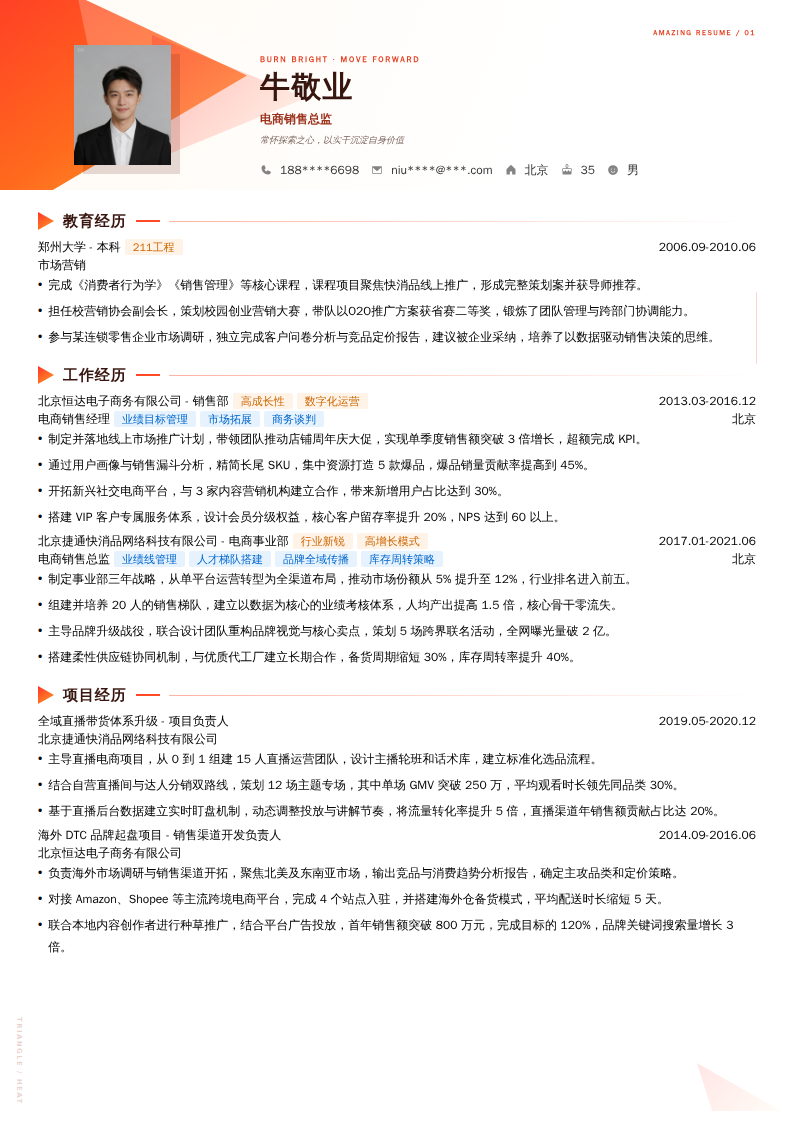 电商销售总监简历模板