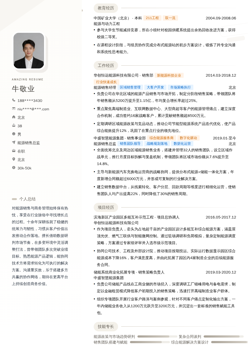 能源销售总监简历模板