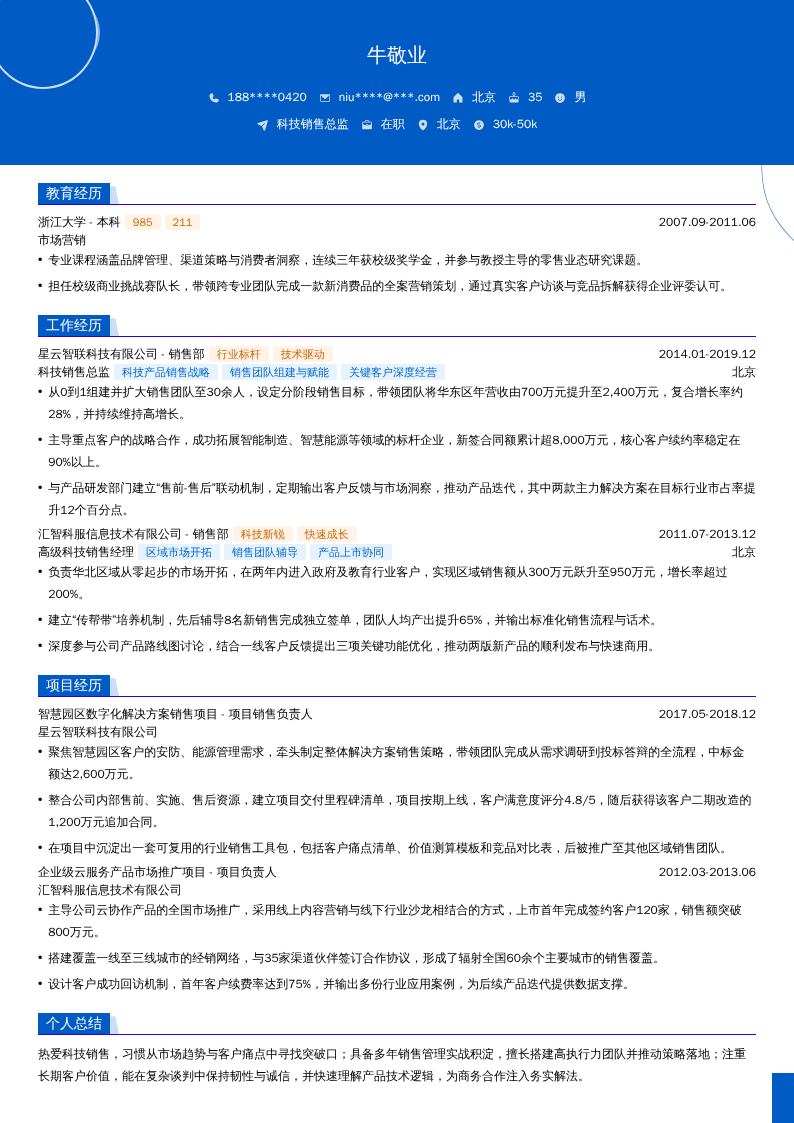 科技销售总监简历模板