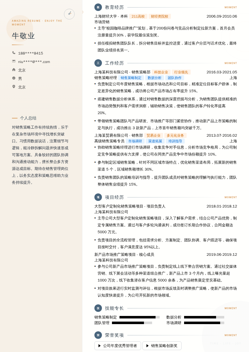 销售策略经理简历模板