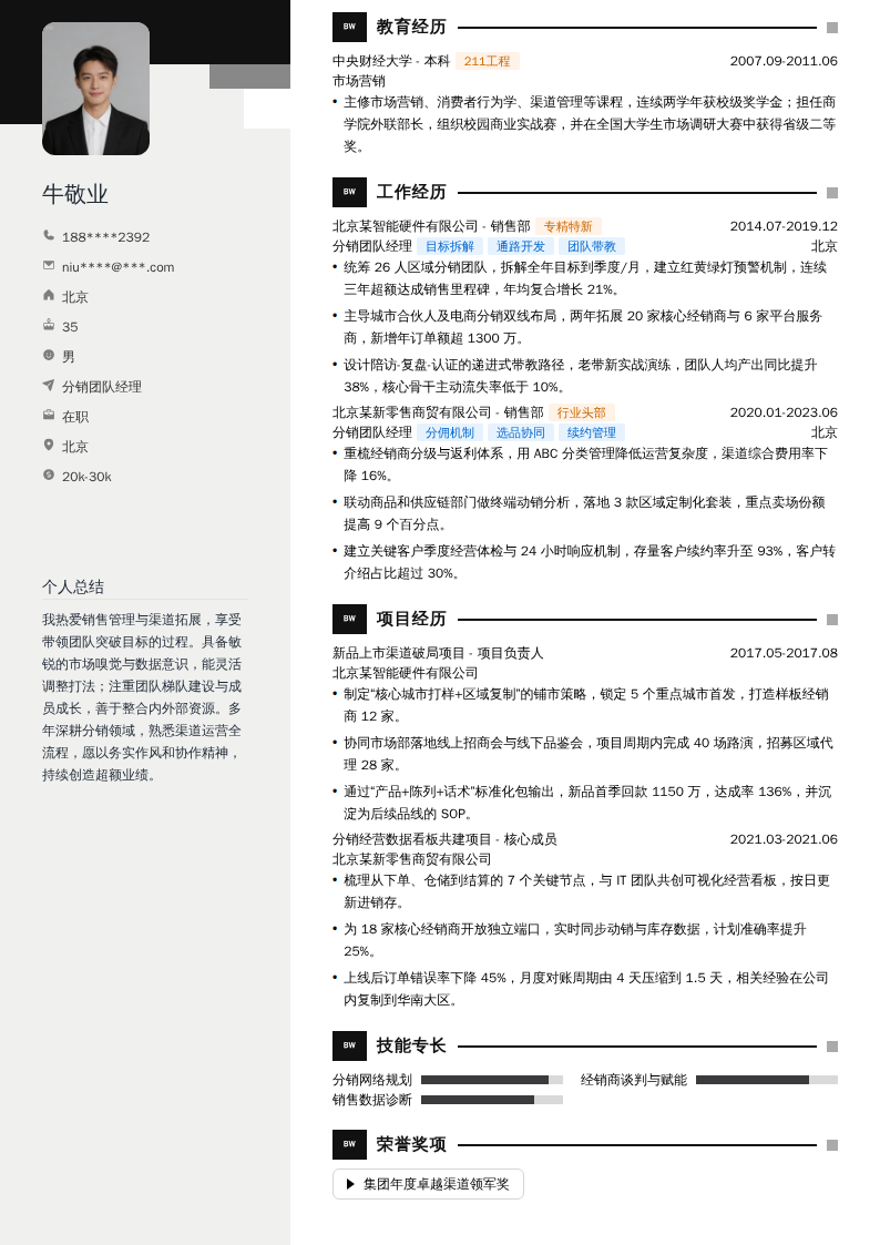 分销团队经理简历模板