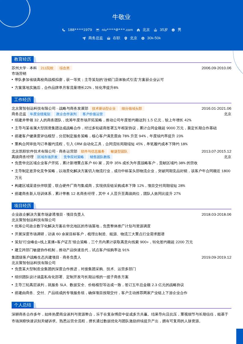 商务总监简历模板