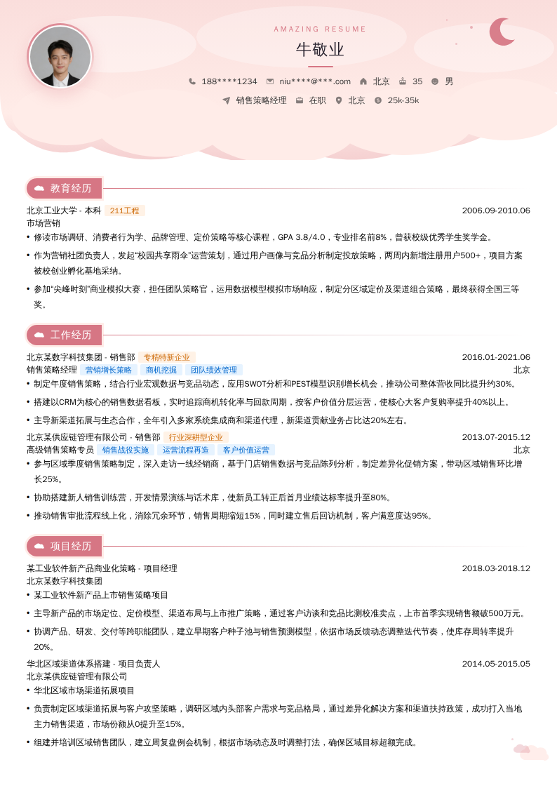销售策略经理简历模板