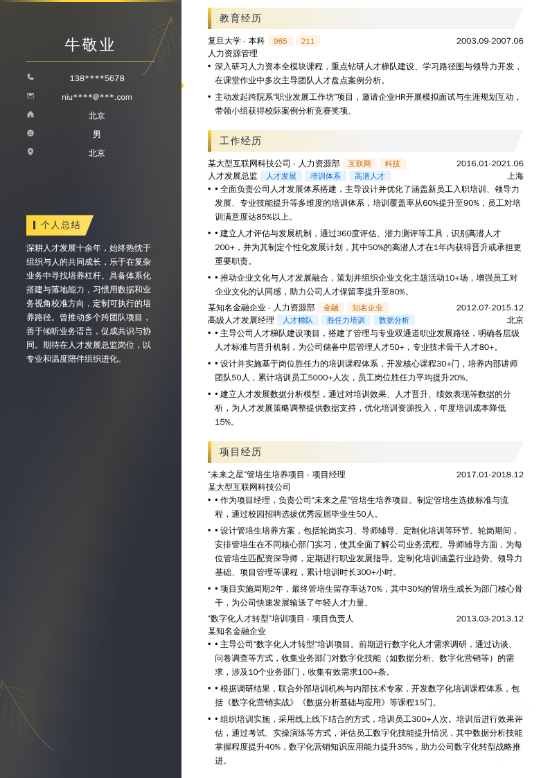 人才发展总监简历模板