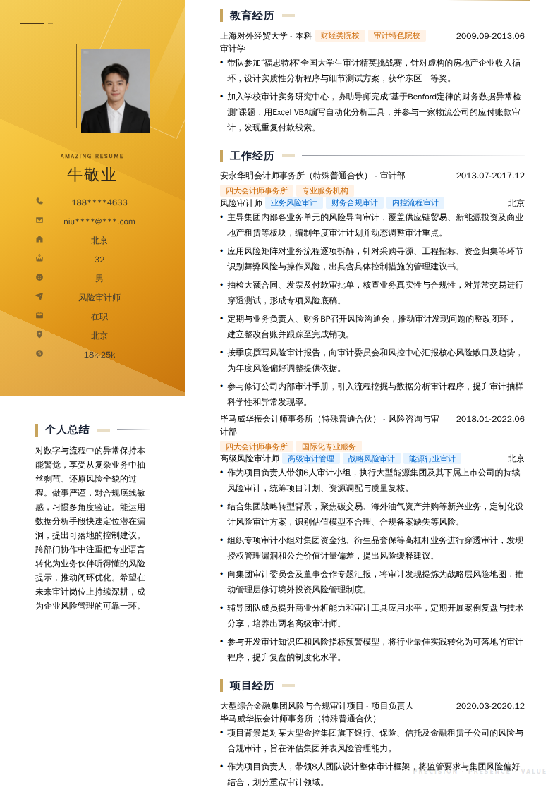 风险审计师简历模板