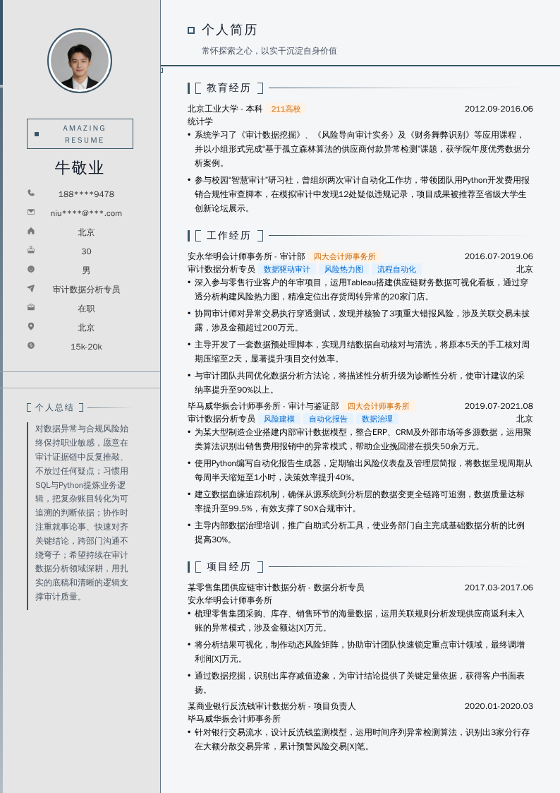 审计数据分析专员简历模板